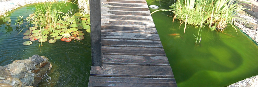 Эффективное органическое средство для очистки пруда от водорослей: Chlorella Pond