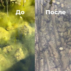 FadenalgenVernichter 5 кг - Средство против нитевидных водорослей