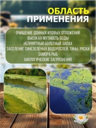 Средство для пруда от ила и водорослей BIOSPLIT, 5л.(до 500м2)