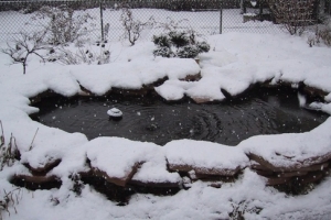 Зимой водоемы до полуметра-метра полностью вымерзают ❄️