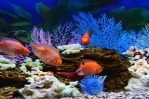 🐟 Умное устройство для комфортного роста и развития рыбок и растений в аквариуме