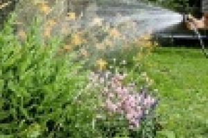 🌱 Садовые насосы ProMax Garden Oase используют для полива: они экономно используют воду из колодца, скважины, дождевой бочки или резервуара.