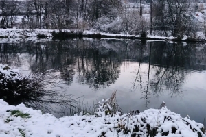 💧☀️Запуск пруда после зимы