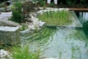 🌱Биоплато — это естественный способ очистки воды в пруду с помощью болотных растений. Этот метод позволяет улучшить качество воды, снизить уровень загрязнения и создать благоприятную среду для рыб и других водных обитателей.