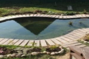 ☀️ С помощью УФ-очистителя Vitronic от фирмы Oase водоросли в пруду безопасно уничтожаются, проходя через его корпус. При помощи функции визуального контроля вы всегда будете осведомлены о состоянии УФ лампы. Vitronic идеально сочетается с проточными филь