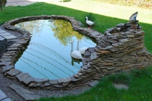 💧Хотите сохранять воду в пруду или аквариуме чистой и прозрачной?